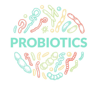 10 Best Probiotic Supplements for 2025 - Pulsetto