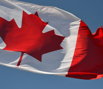 Best Vagus Nerve Stimulation Devices in Canada - Pulsetto
