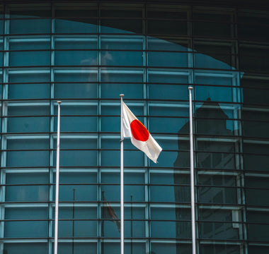 Best Vagus Nerve Stimulation Devices in Japan - Pulsetto